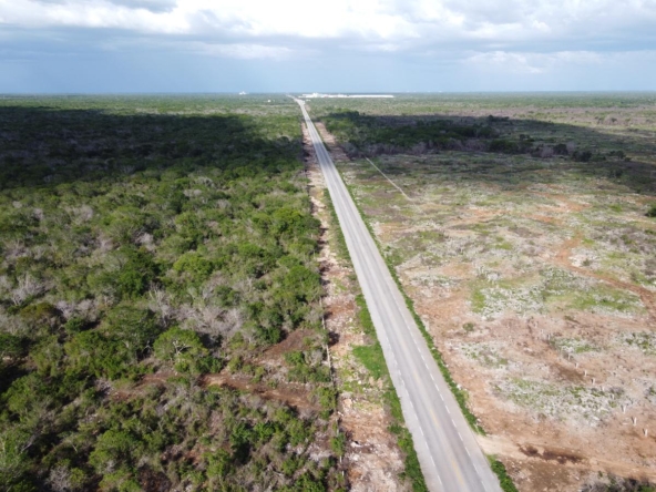 Terreno 50 Hectareas, Carretera Hunucmá - Texán