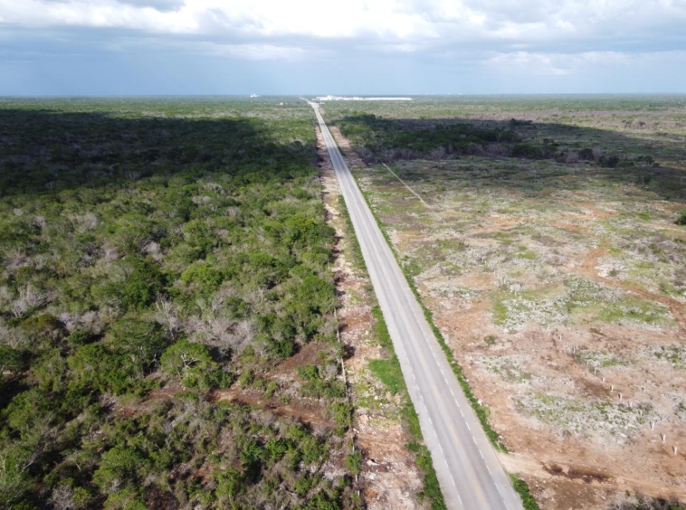 Terreno 50 Hectareas, Carretera Hunucmá - Texán